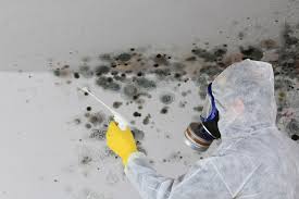 Best Forensic Mold Investigation  in Rosemont, PA